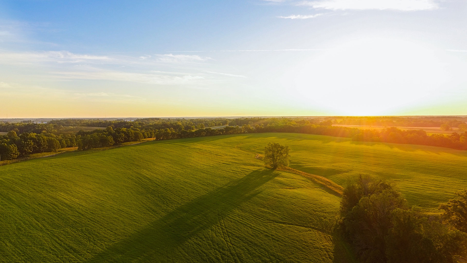 德青源自有農(nóng)場(chǎng)數(shù)量和規(guī)模亞洲第一